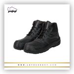 پوتین ایمنی تاترا