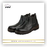 پوتین ایمنی آرش
