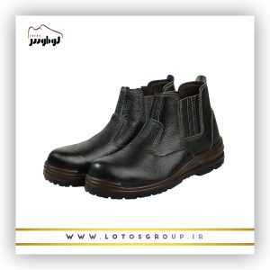 پوتین ایمنی آرش