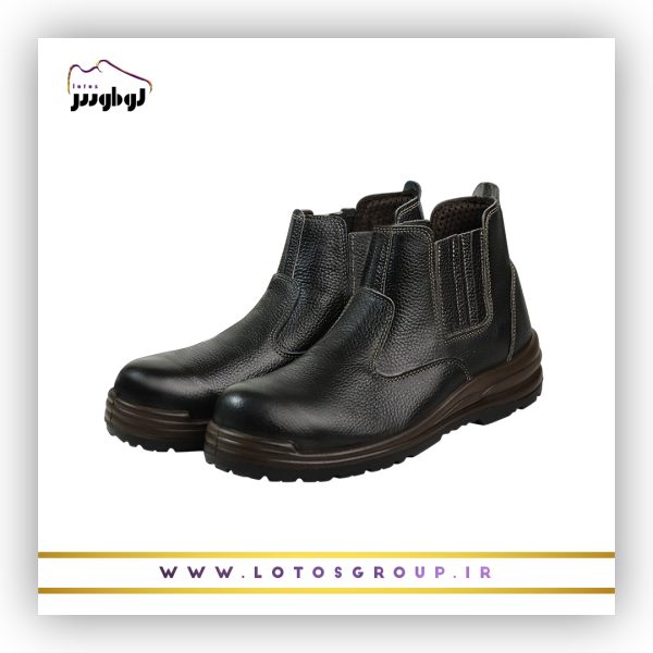 پوتین ایمنی آرش