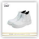 پوتین ایمنی آرش