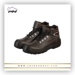 پوتین ایمنی آرات
