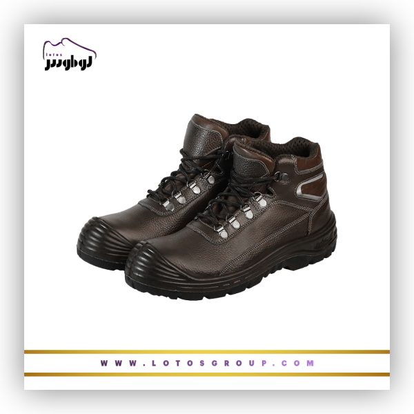 پوتین ایمنی آرات