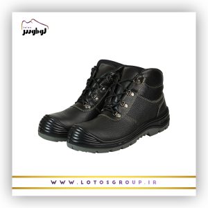 پوتین ایمنی دماوند