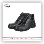 پوتین ایمنی دماوند