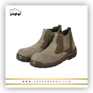 پوتین ایمنی آرش