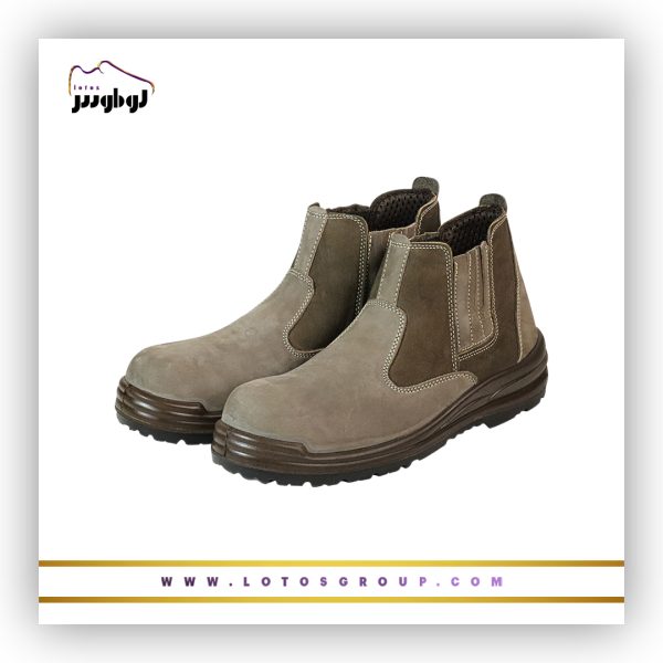 پوتین ایمنی آرش