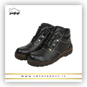 پوتین ایمنی دماوند