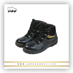 پوتین ایمنی تاترا