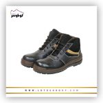 پوتین ایمنی تاترا