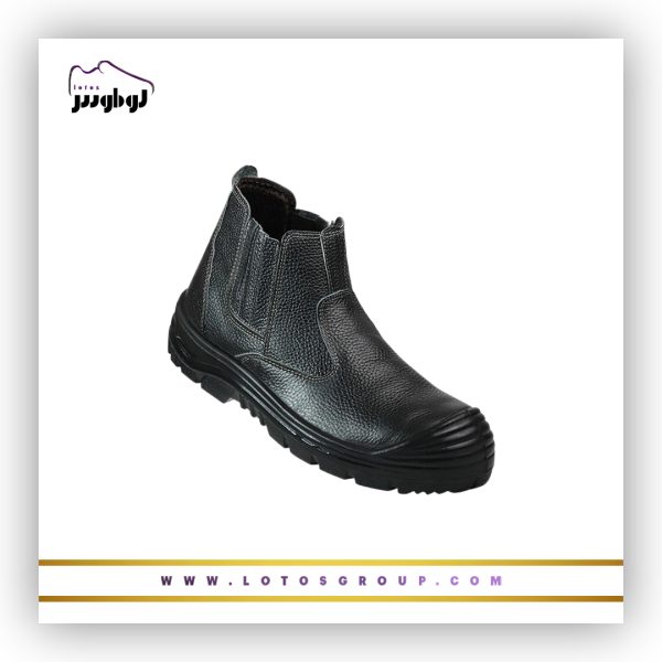 پوتین ایمنی آرش