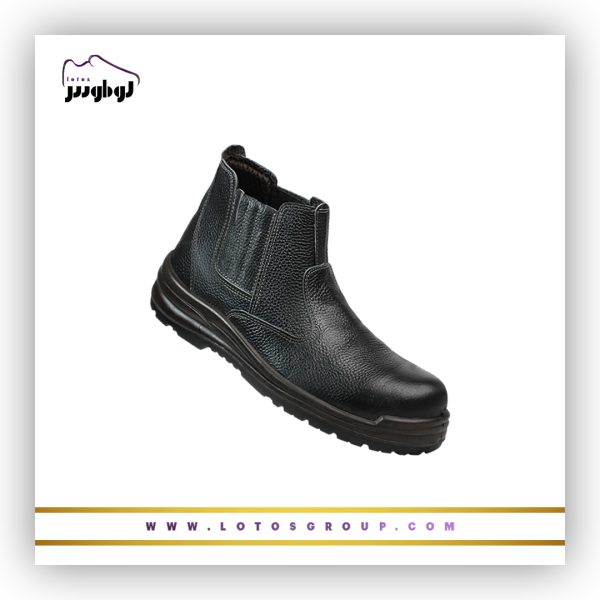 پوتین ایمنی آرش