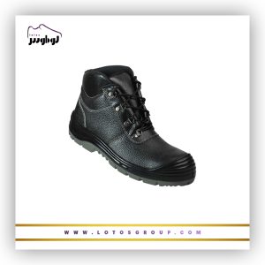 پوتین ایمنی دماوند