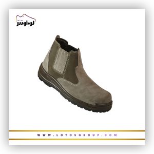 پوتین ایمنی آرش (پی یو دو دانسیته)