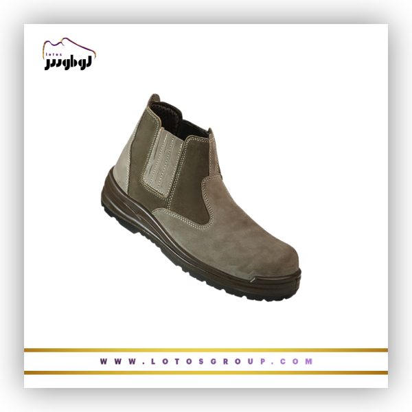 پوتین ایمنی آرش