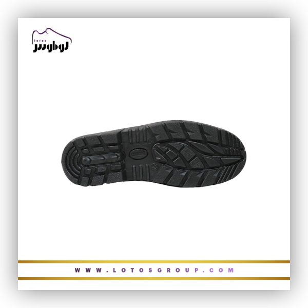 پوتین ایمنی کارو