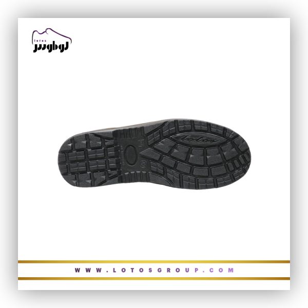 پوتین ایمنی تاترا