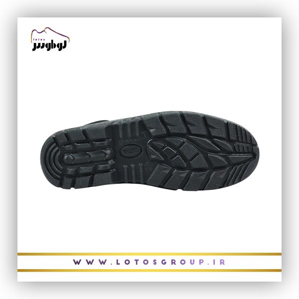 پوتین ایمنی سهند
