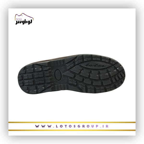 پوتین ایمنی آرش