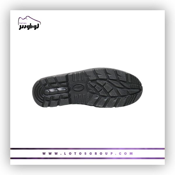 پوتین ایمنی ارسلان