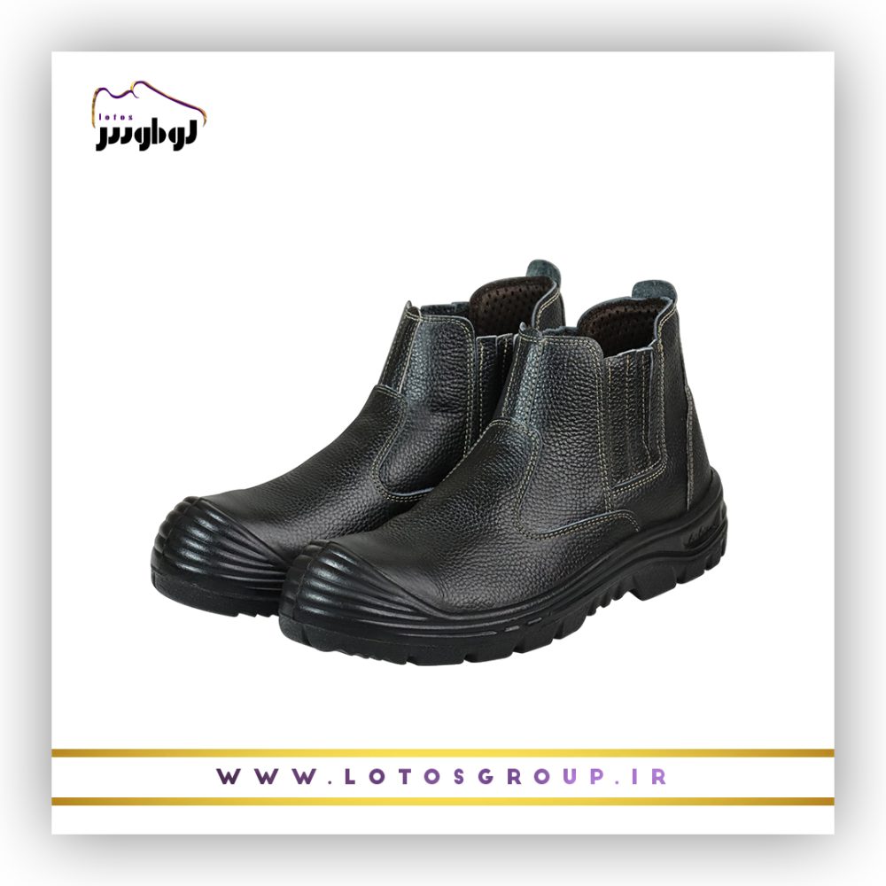 پوتین ایمنی آرش