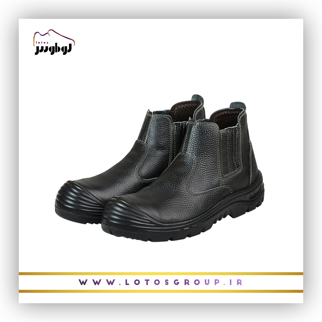 پوتین ایمنی آرش