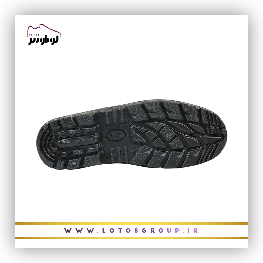 پوتین ایمنی آرش