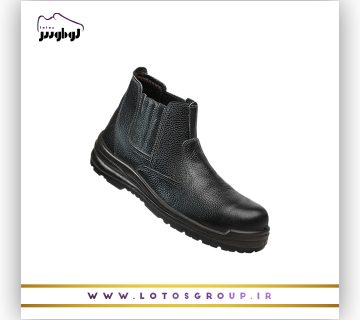 پوتین ایمنی آرش