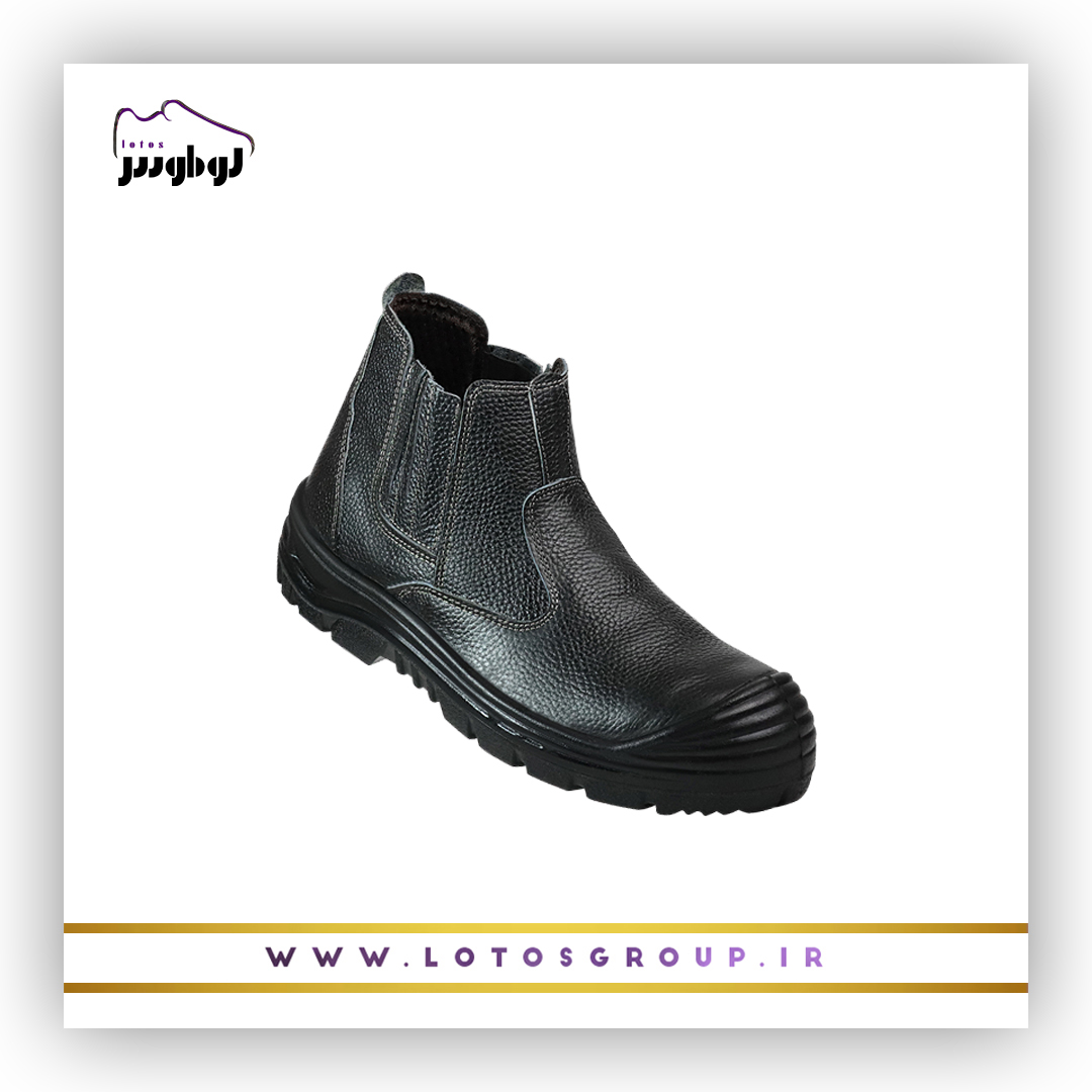 پوتین ایمنی آرش