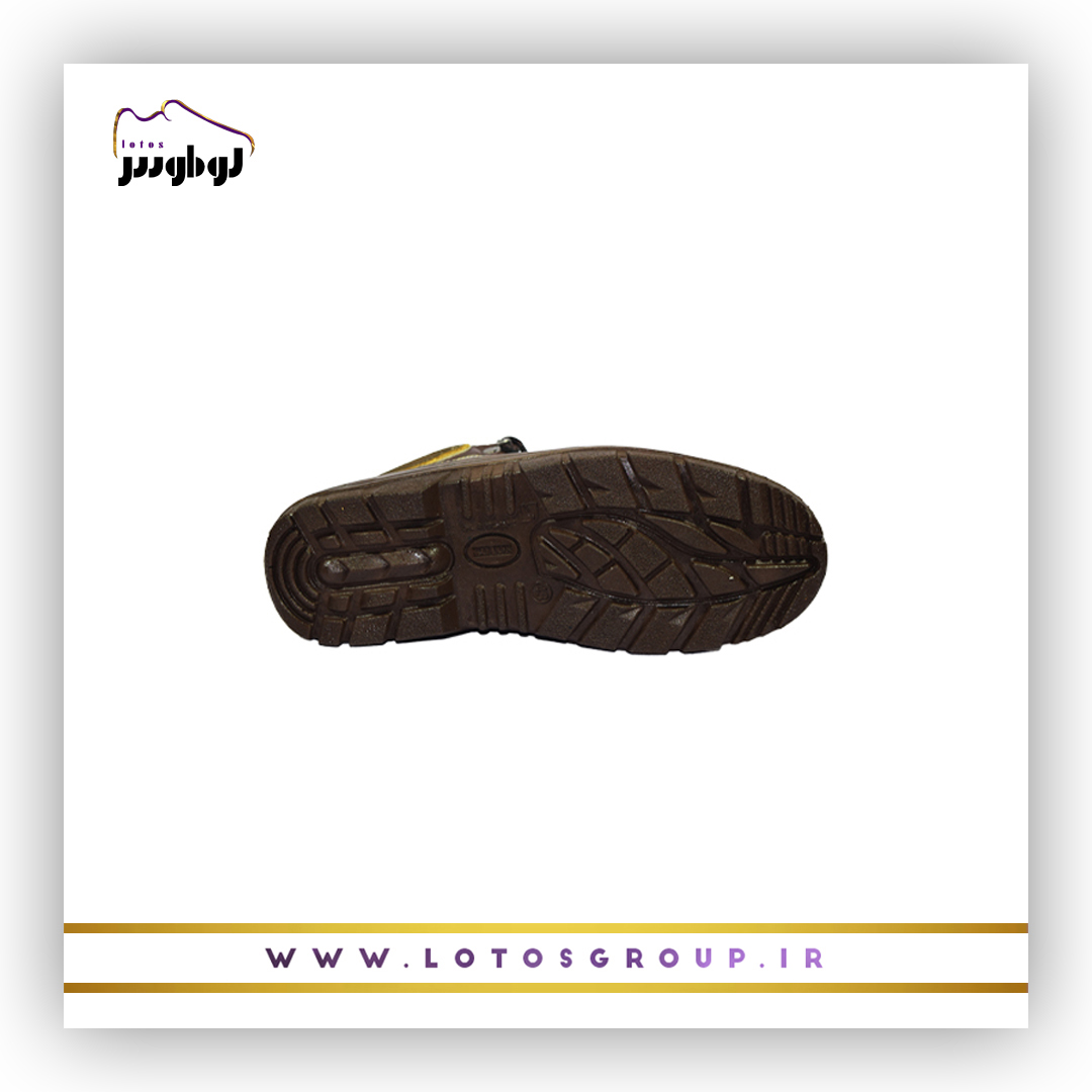 پوتین ایمنی آریامن