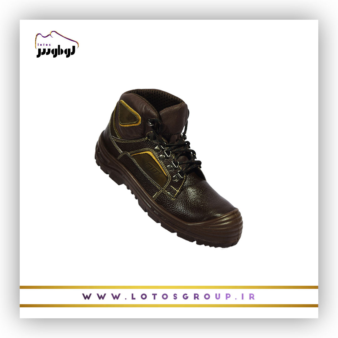 پوتین ایمنی آریامن