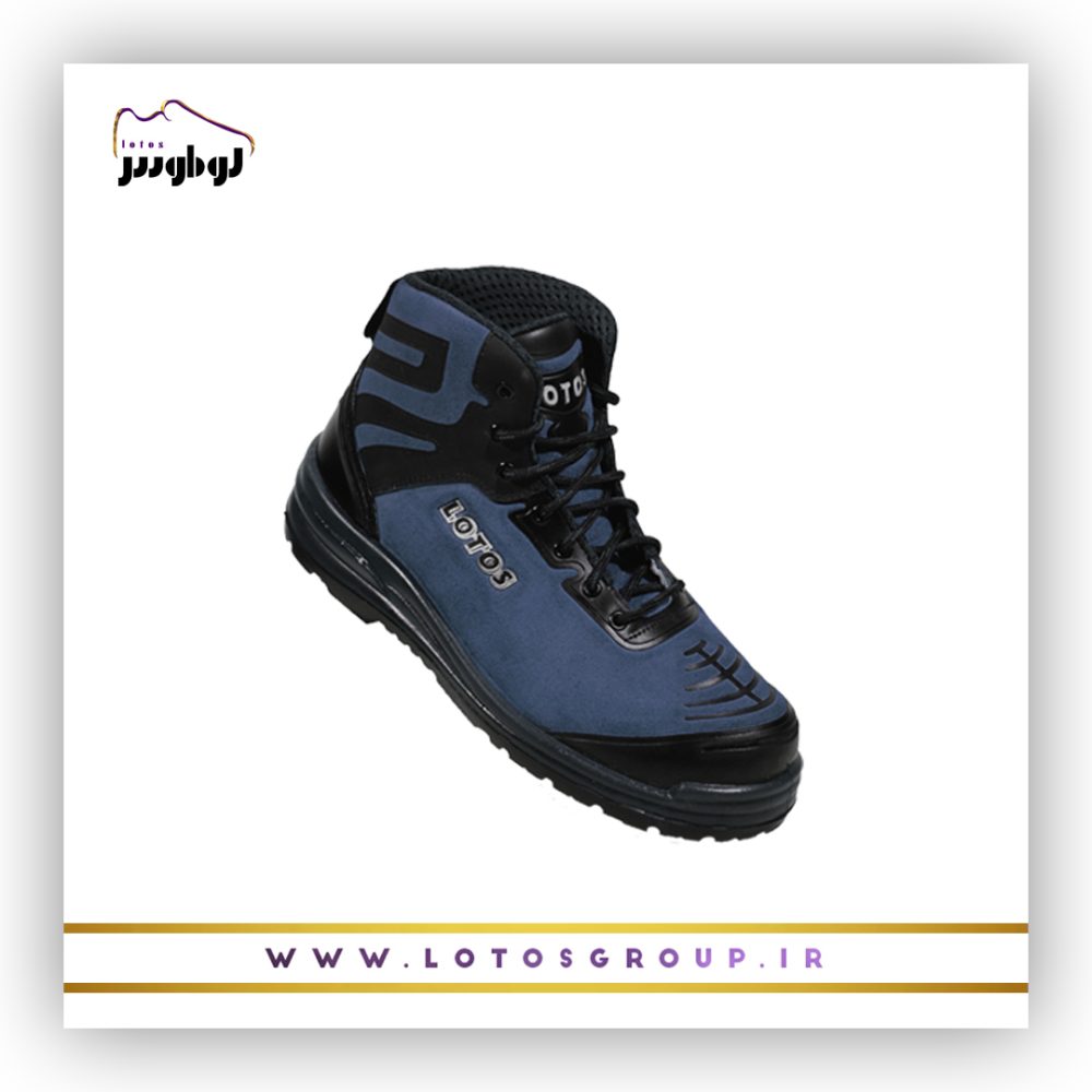 پوتین ایمنی اشکان