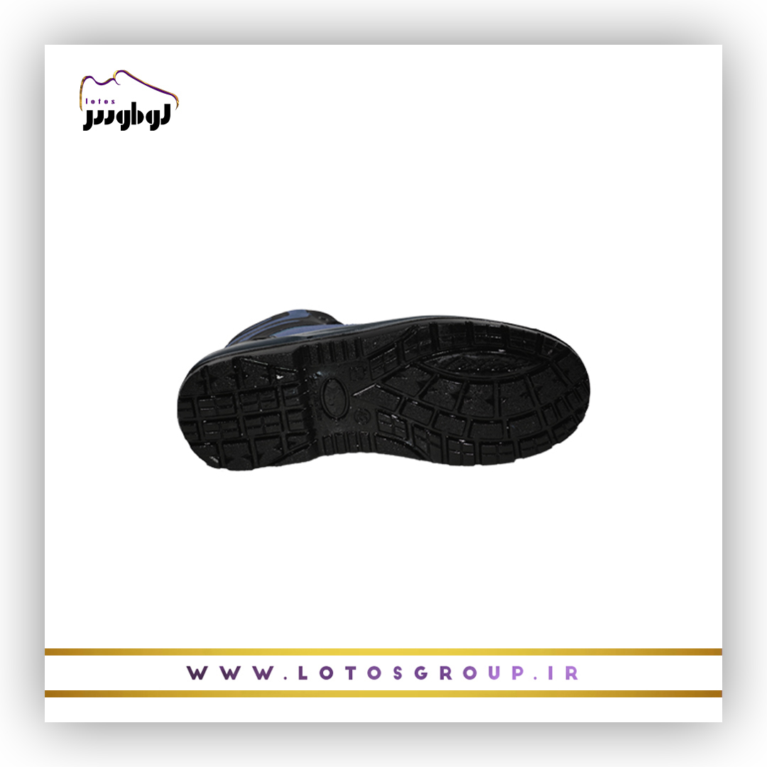 پوتین ایمنی اشکان