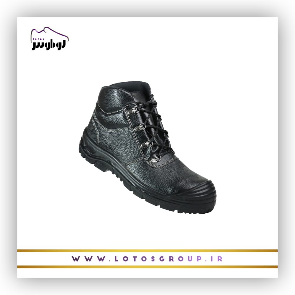 پوتین ایمنی دماوند