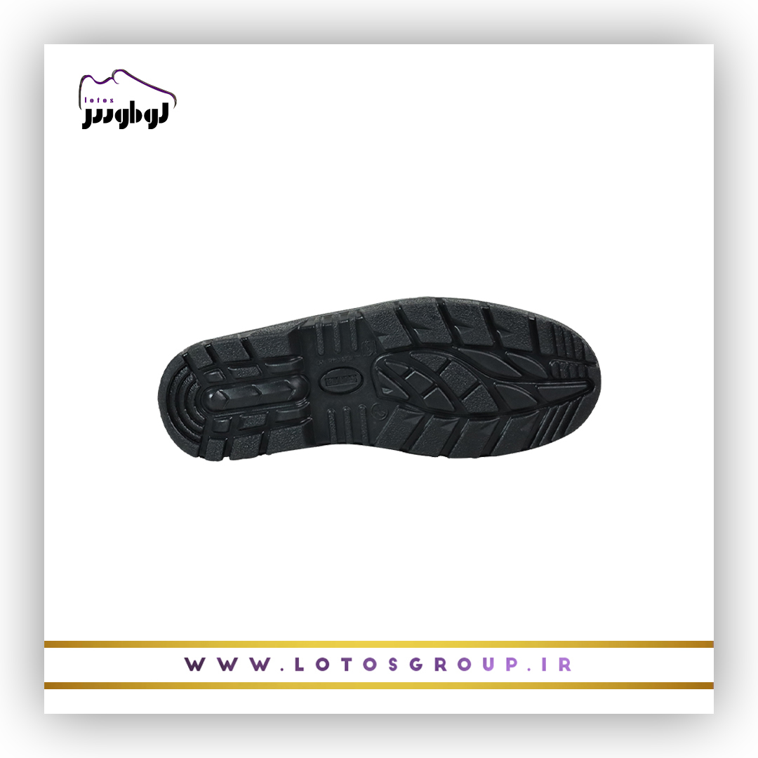 پوتین ایمنی دماوند