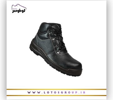 پوتین ایمنی دماوند