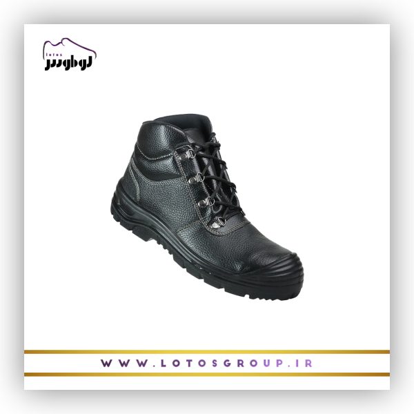 پوتین ایمنی دماوند