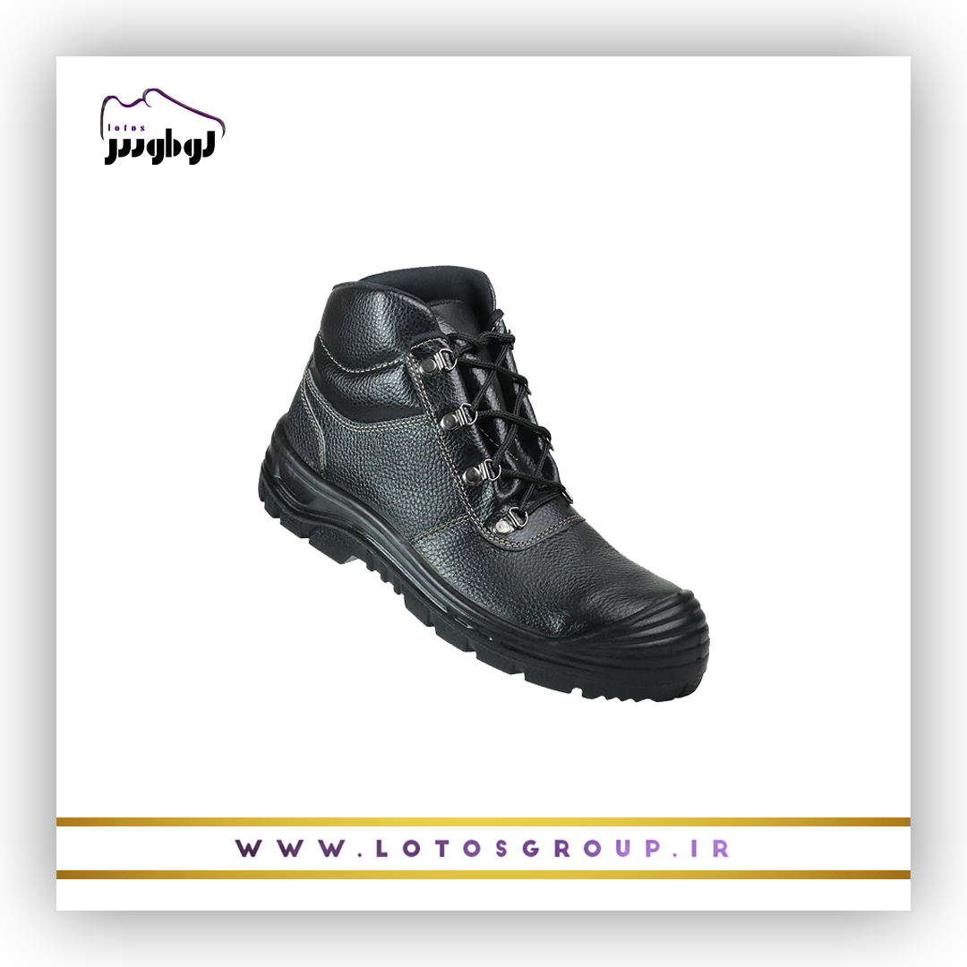 پوتین ایمنی دماوند