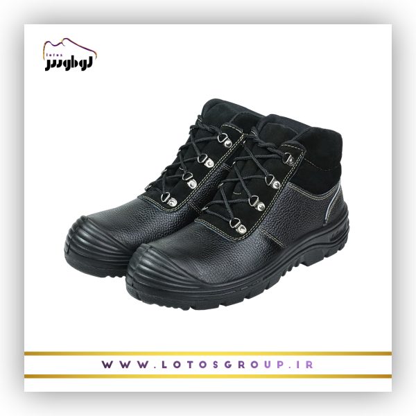 پوتین ایمنی سهند