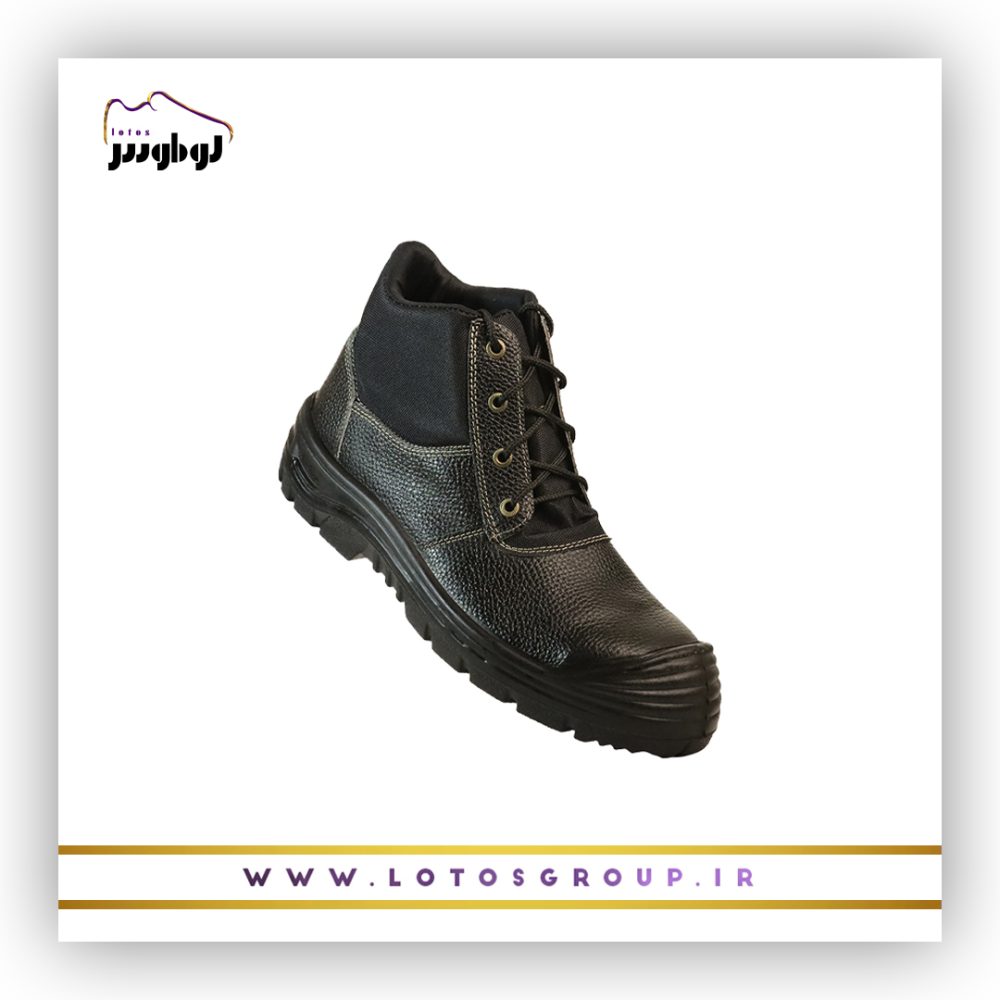 پوتین ایمنی شهاب