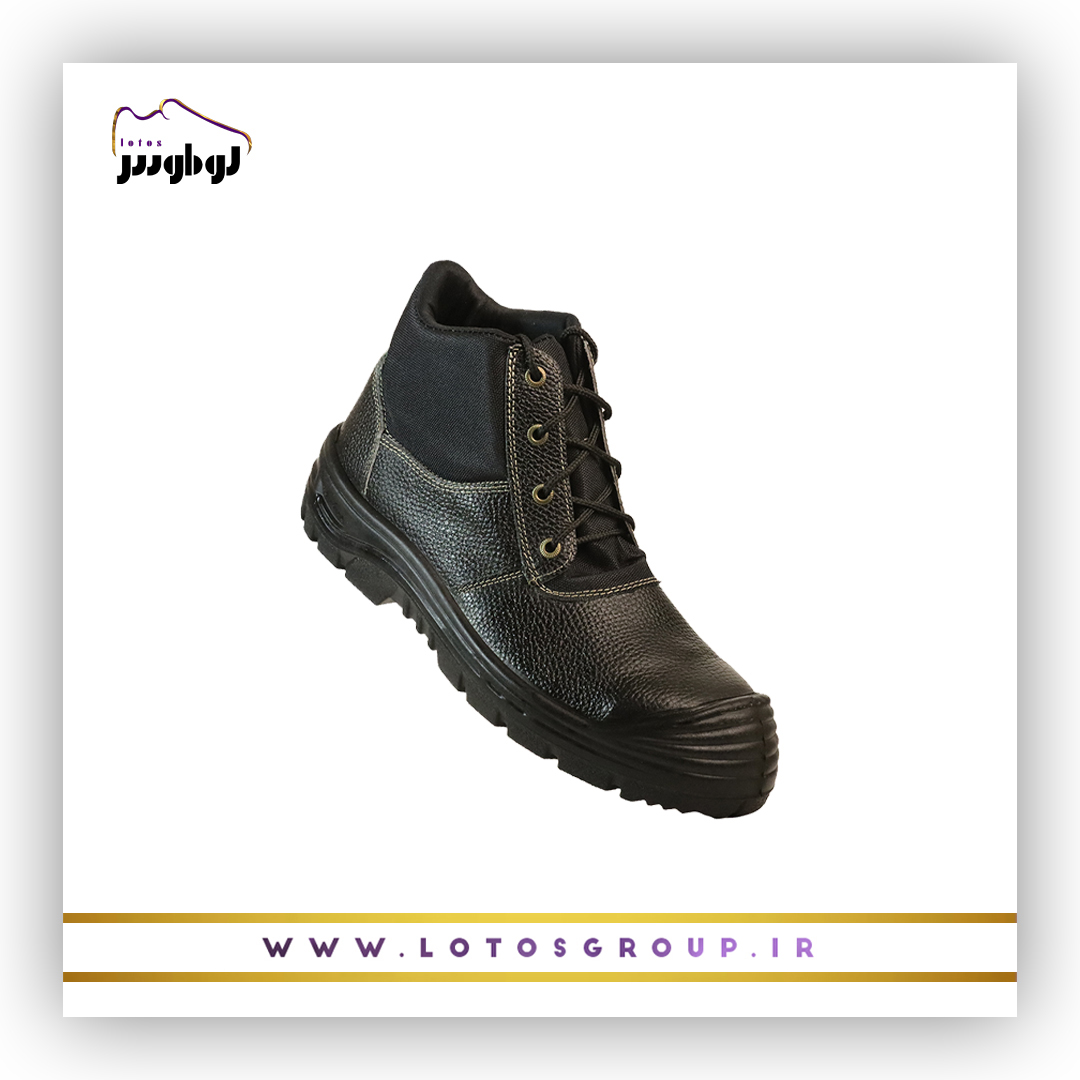 پوتین ایمنی شهاب پوتین ایمنی شهاب