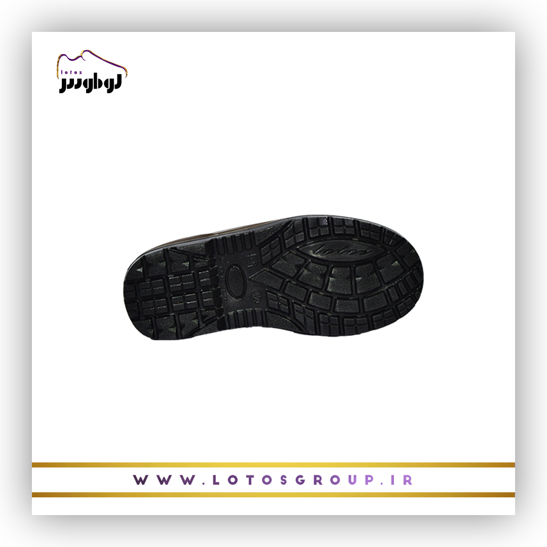 کفش ایمنی اشکان