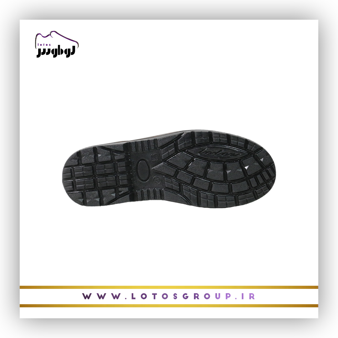 کفش ایمنی تاترا