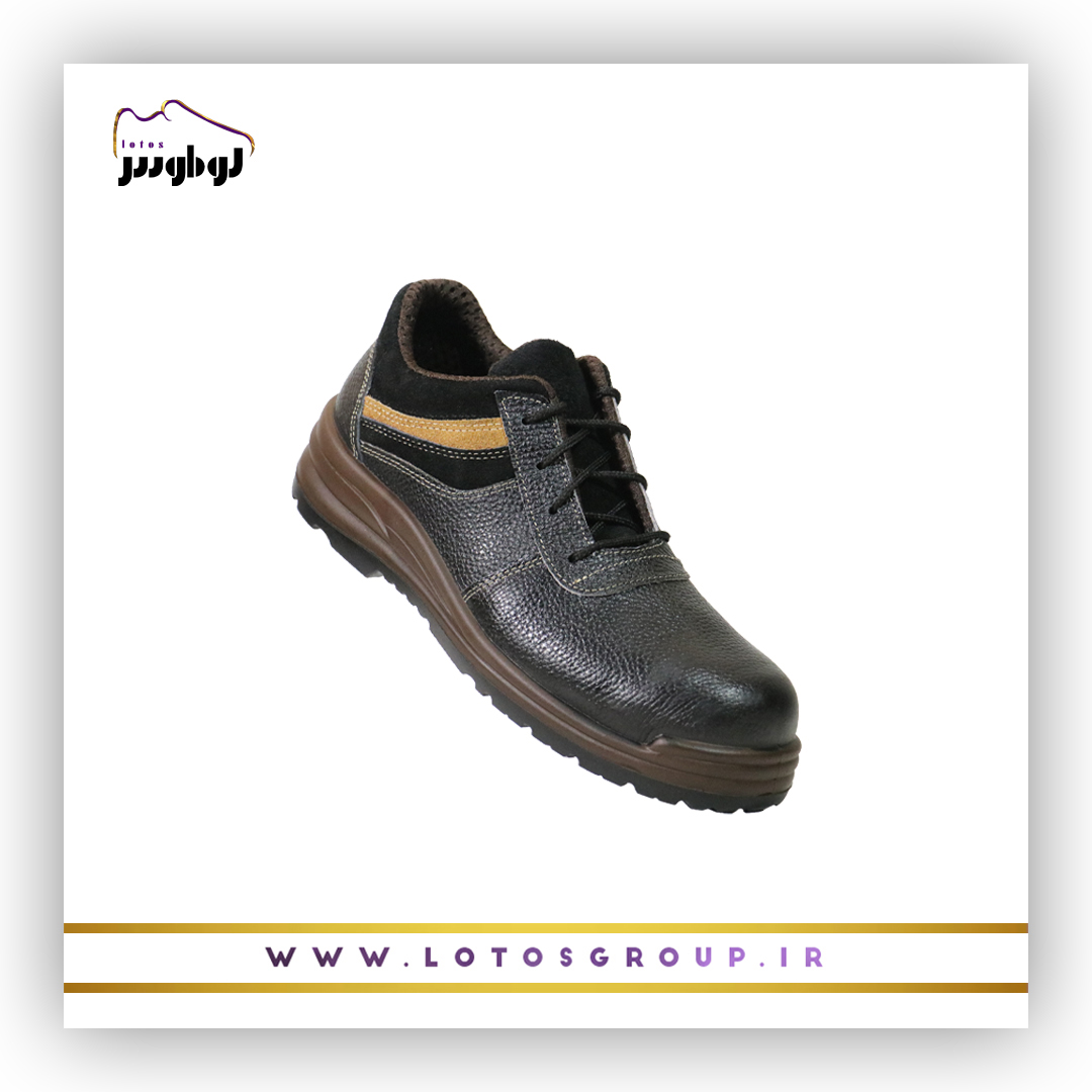 کفش ایمنی تاترا